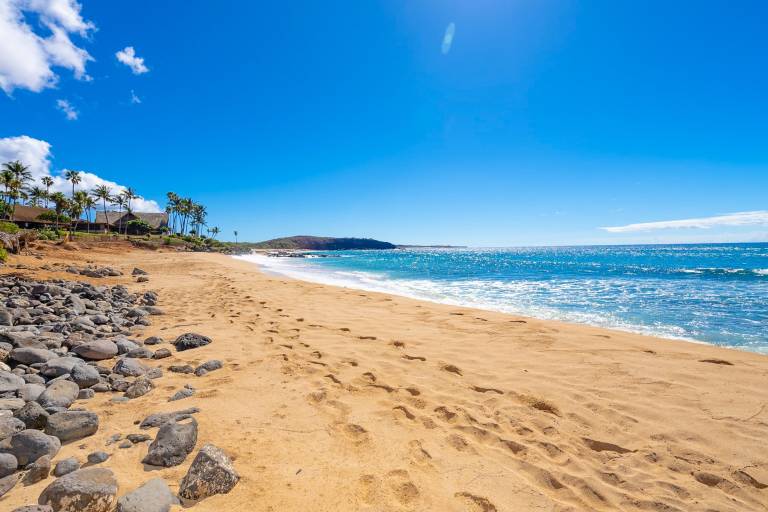 Condo Maunaloa