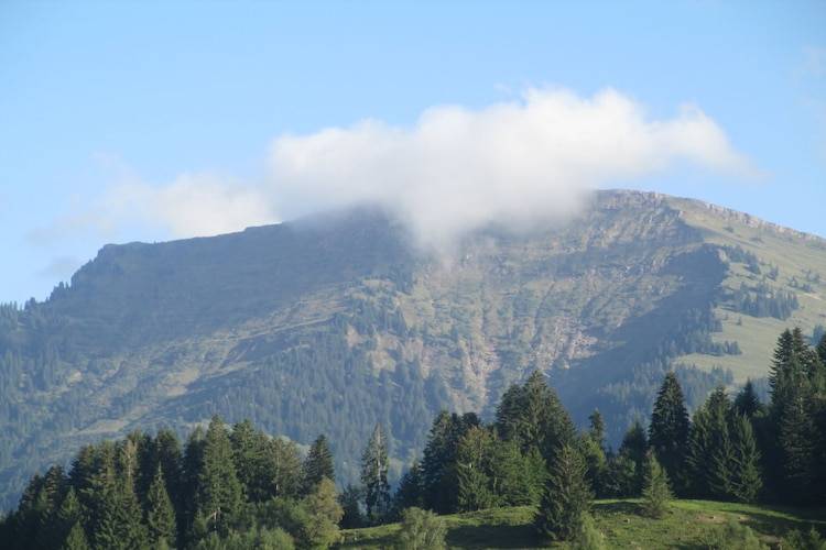 foto17
