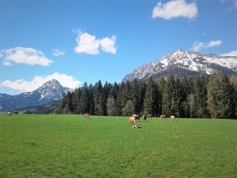 foto23