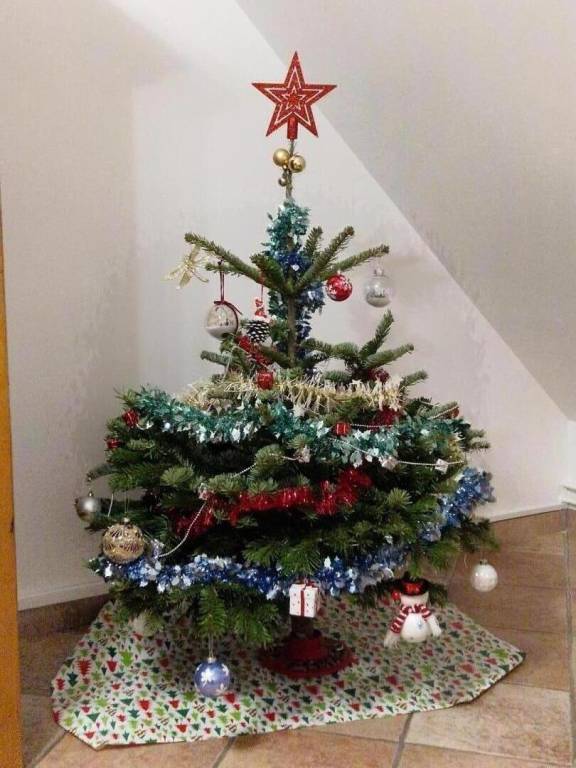 foto36