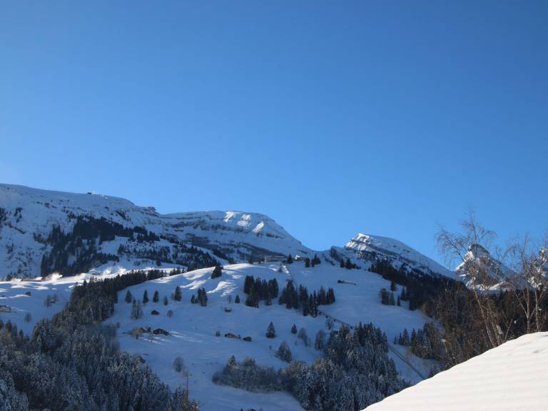 foto12