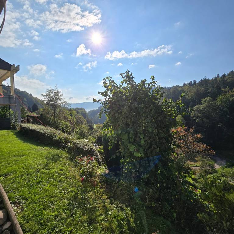 foto16