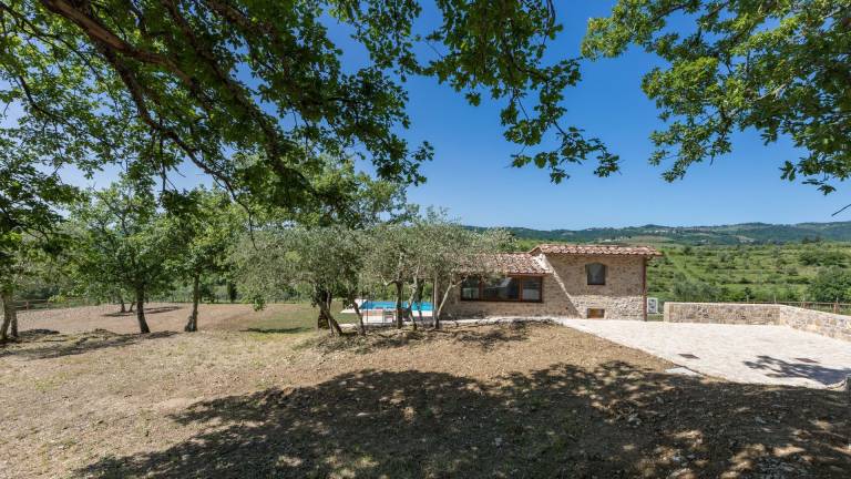 foto38