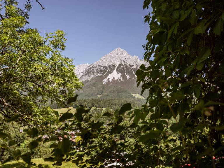 foto49