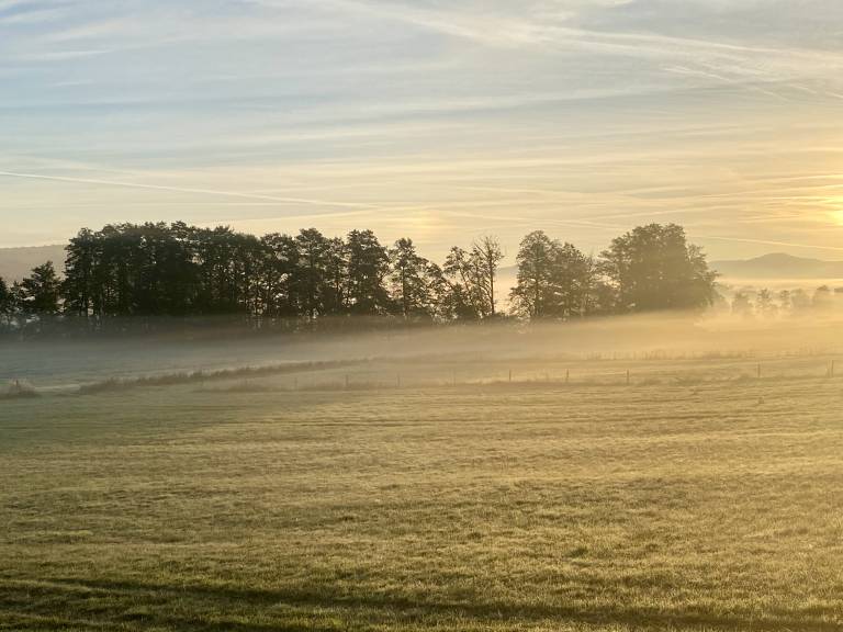 foto20