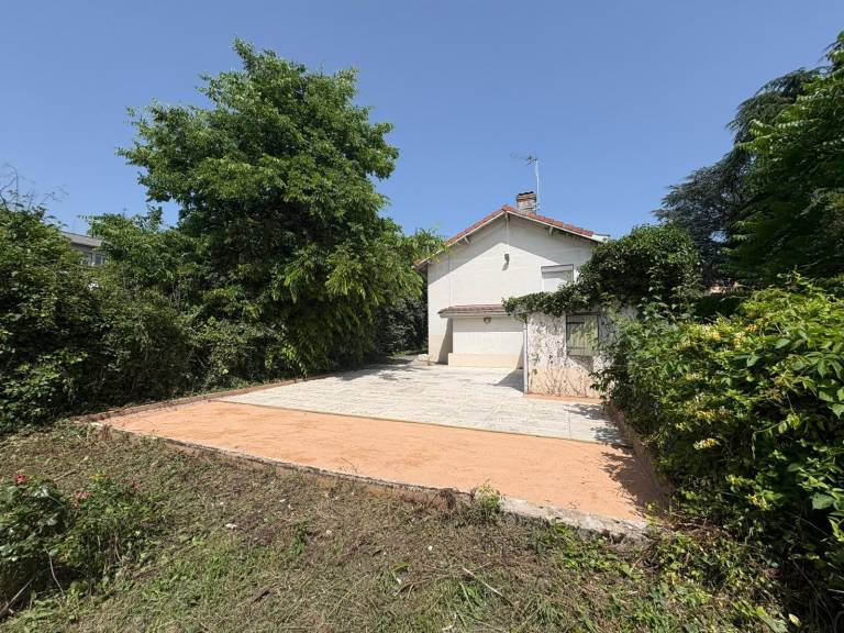 foto41