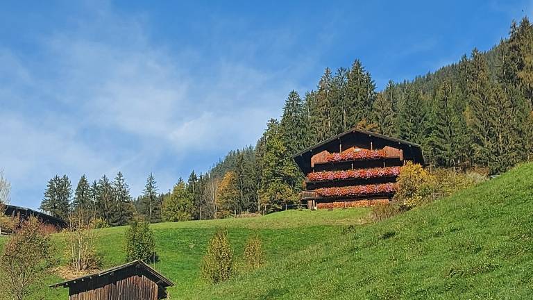 foto39