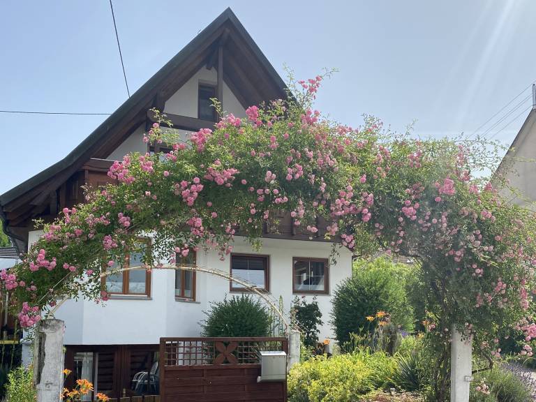 foto18