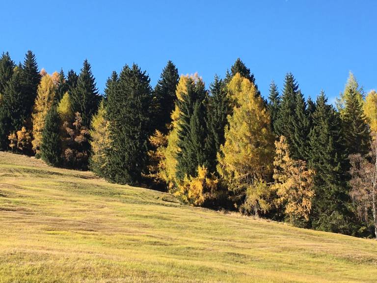 foto5
