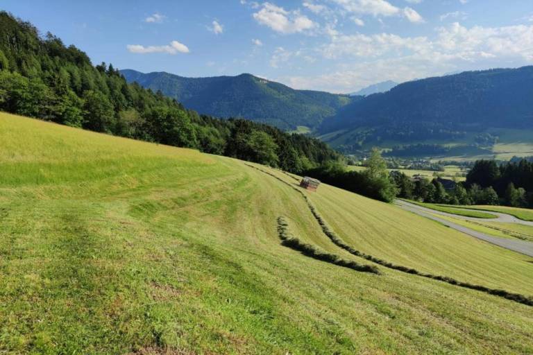 foto24