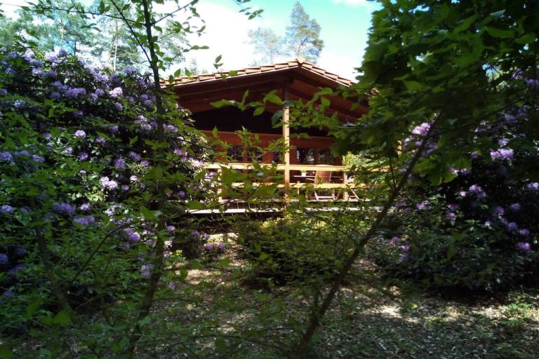 foto1
