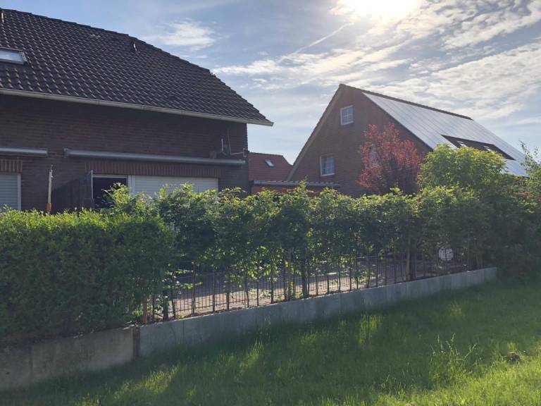 foto15