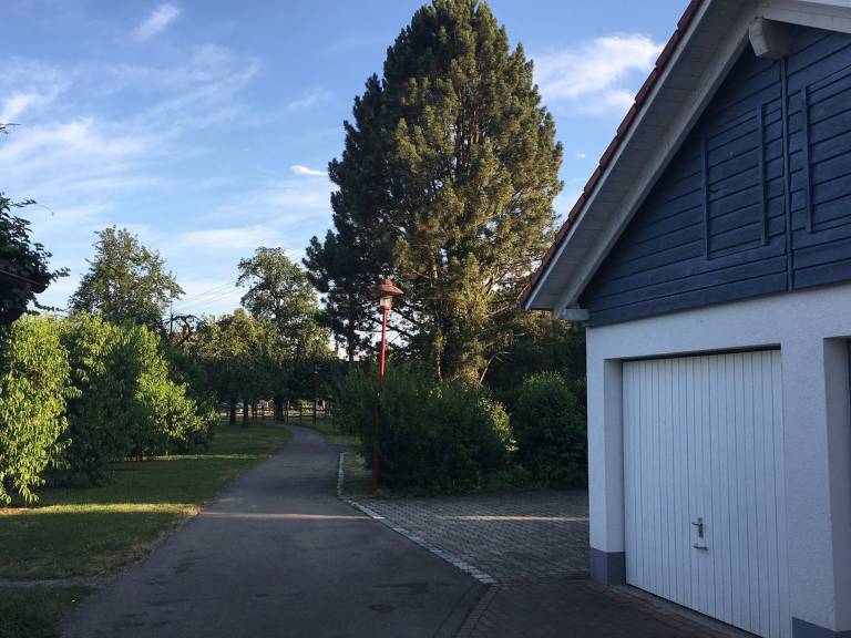 foto21