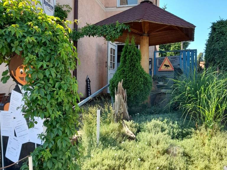 foto16