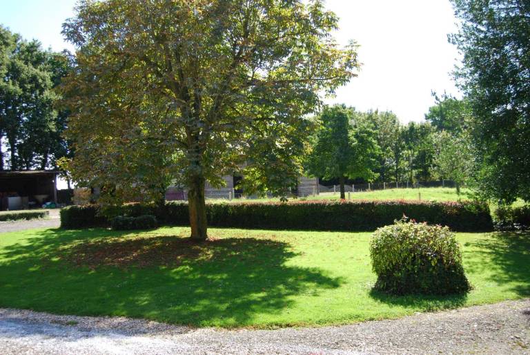 foto11