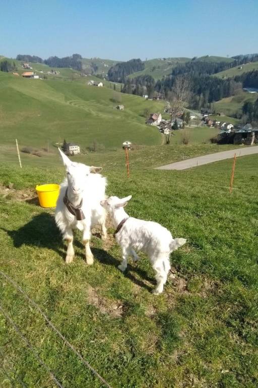 foto23