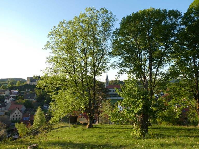 foto22