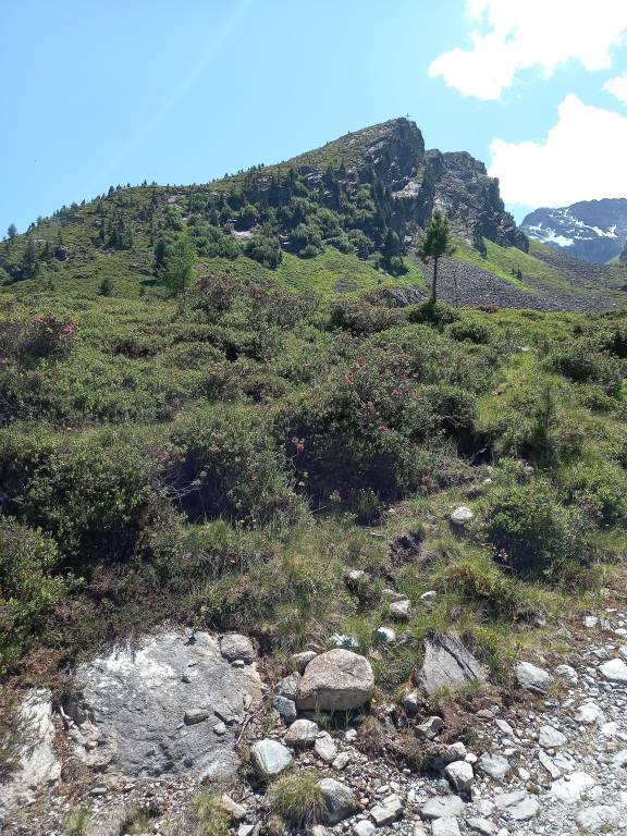 foto21