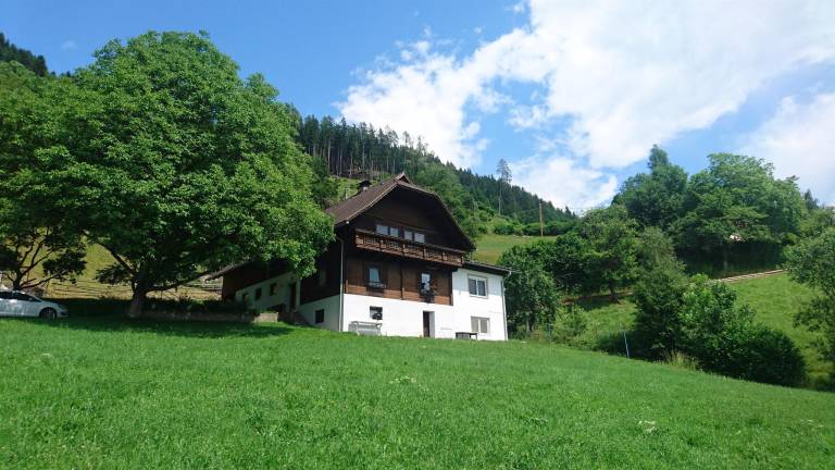 foto1