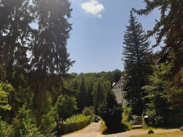 foto28