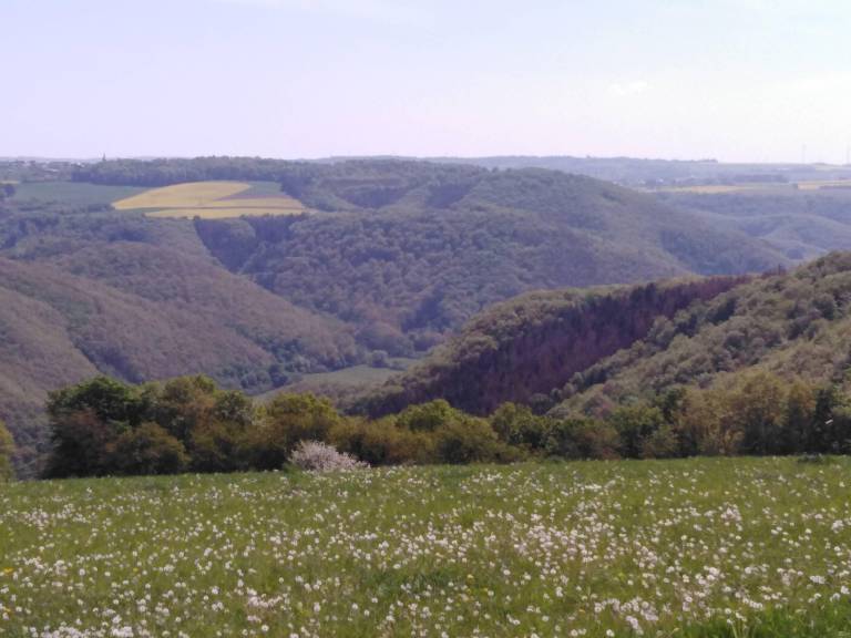 foto11