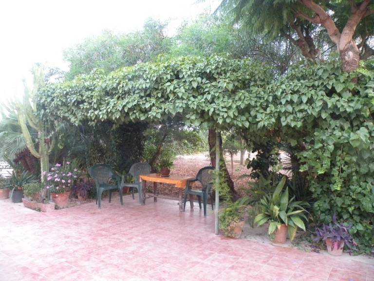 foto11
