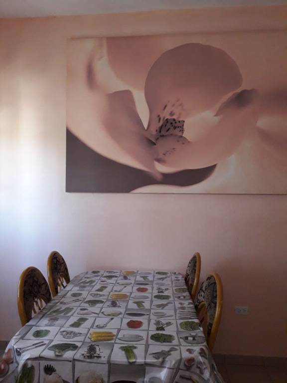 foto20