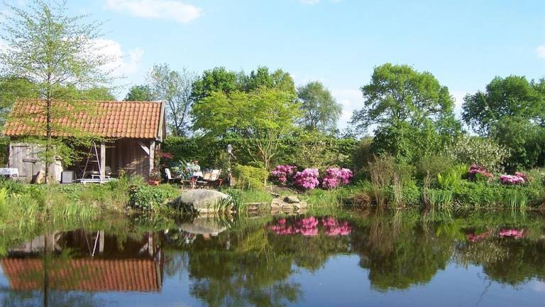 foto4