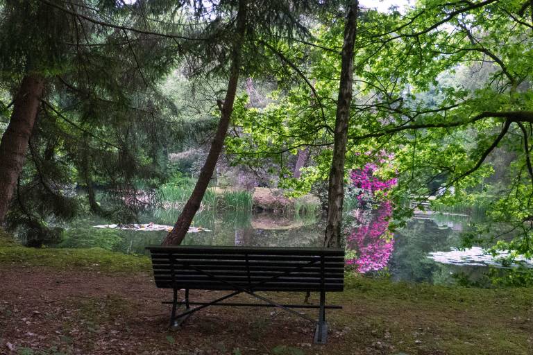 foto18
