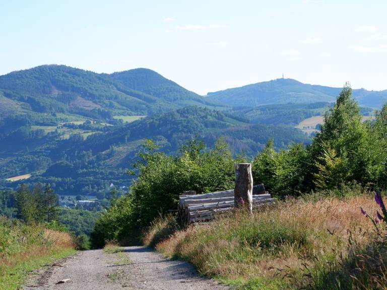 foto41
