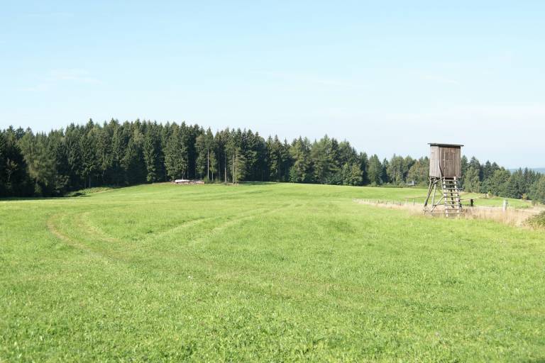 foto22