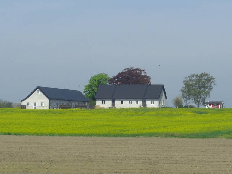 foto8
