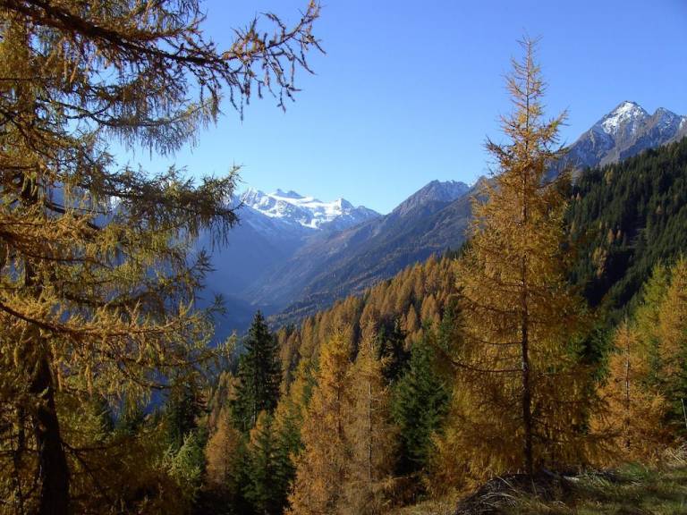 foto13