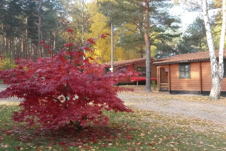 foto7