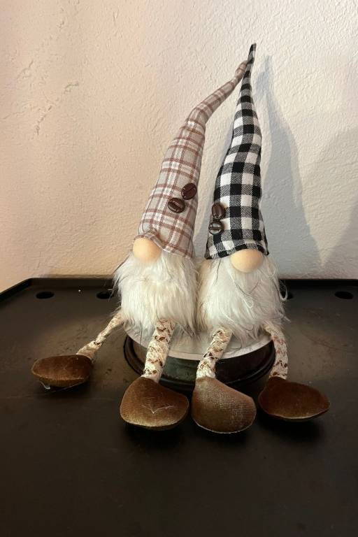 foto11