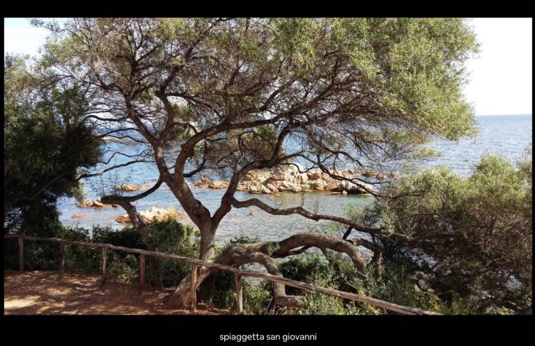 foto20