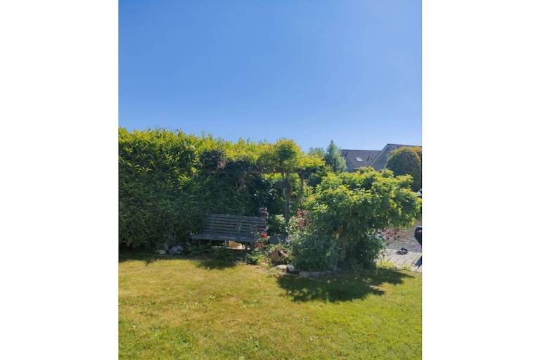 foto4