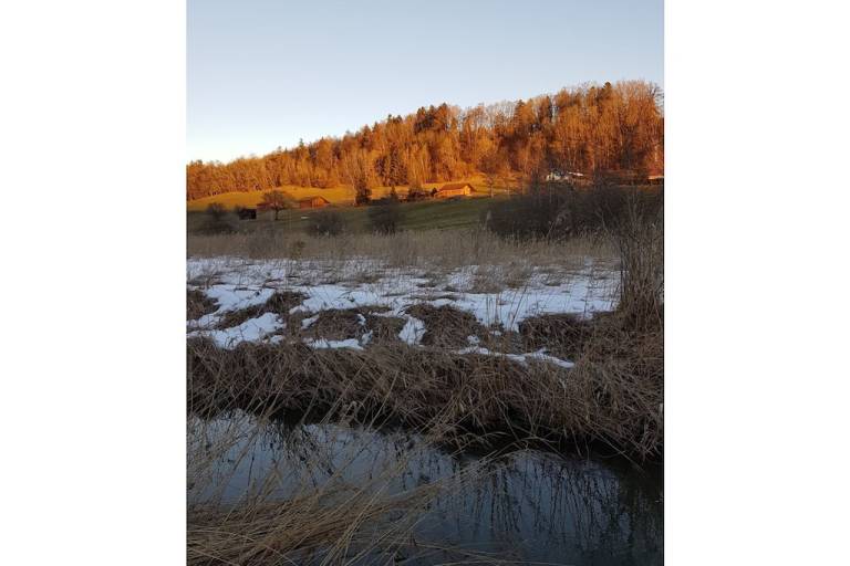 foto21