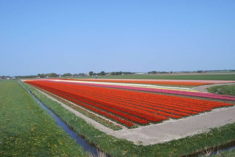 foto13