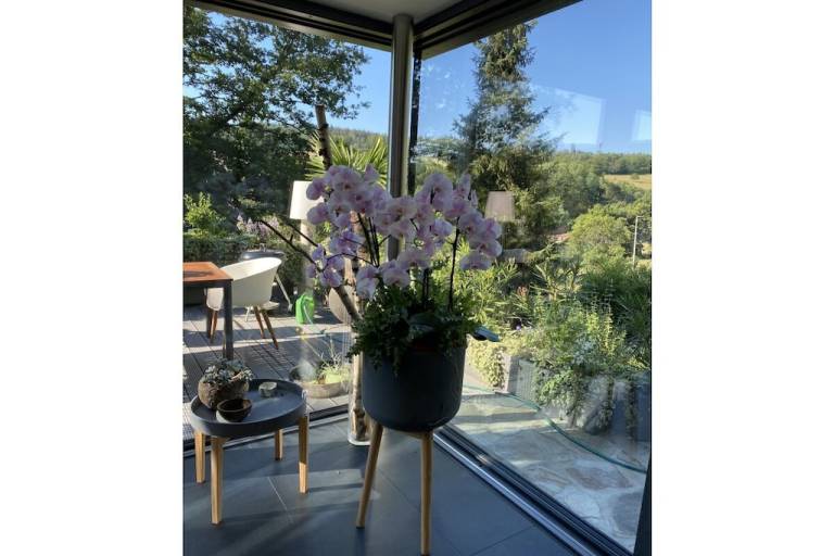 foto25