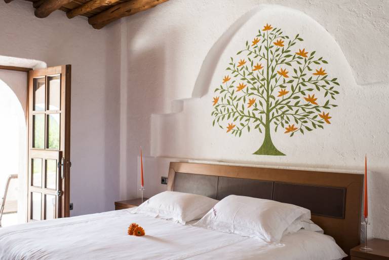Stunning Ibiza Villa 6 Bedrooms Villa Santy