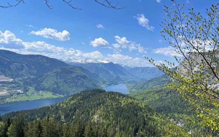 foto31