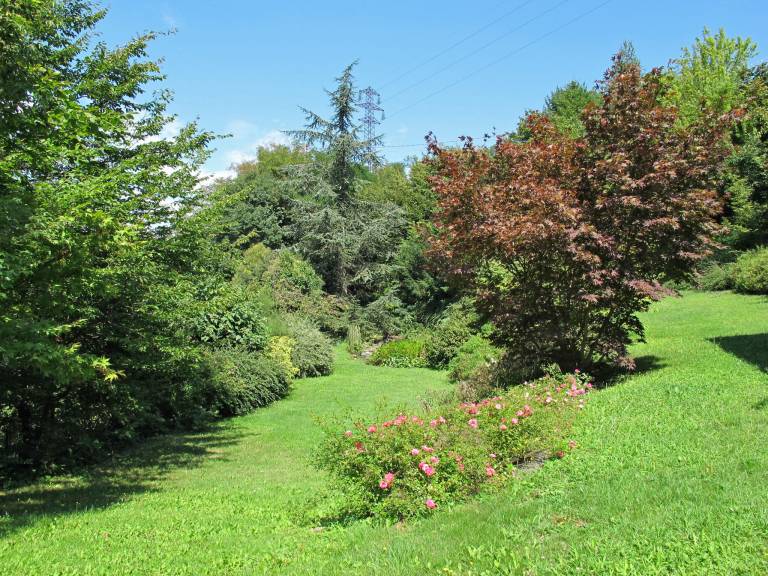 foto30