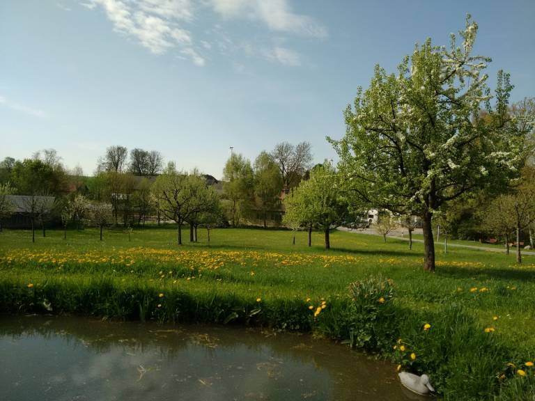 foto41