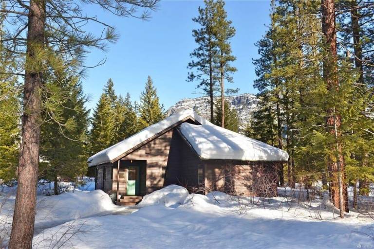 Cabin Mazama