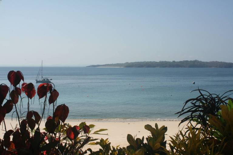foto11