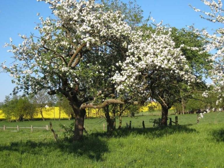 foto6