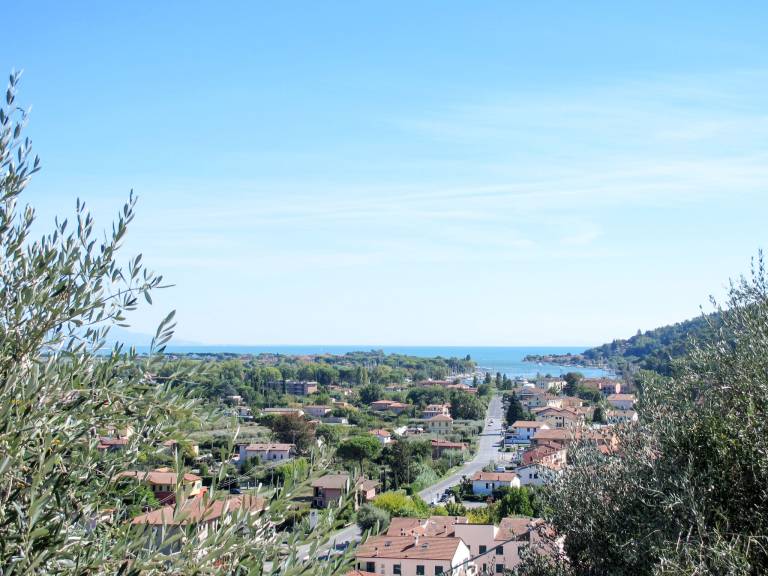 foto41