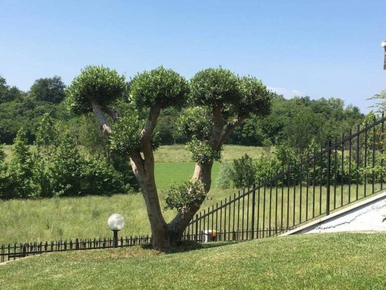 foto17