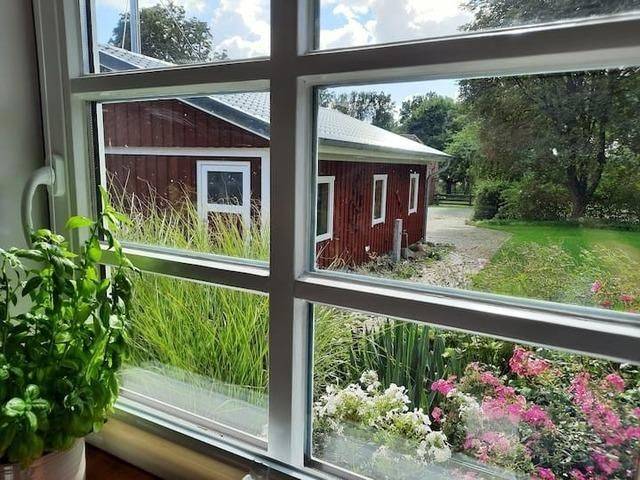 foto19